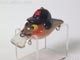 J-45073:まるちゃんシャロー