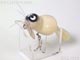 J-47174:ジタバタ アライくん