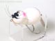 J-47179:フリフリ アライくん