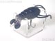 CRAY-Z-FISH クレイジーフィッシュ