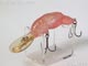 T-5399:CRAWFISH クローフィッシュ