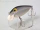 T-5422:Silver-Shad シルバーシャッド中 シンキング