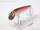 T-5511:Shiner-Minnow シャイナーミノー小