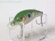 T-5631:Big-O