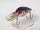 T-5641:Wiggle-Wart