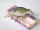 T-5744:Bait-Fish ベイトフィッシュ ベビークラッピー