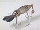 T-5904:Hellbender