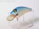 T-6538:Rattlin