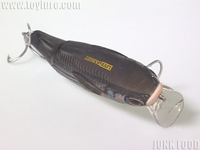 LIFE BAIT Genuine ライフベイト　スローテーパー エッジベイト スローリフト 300 Authentic Bait | DreamChaser