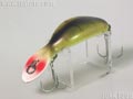 MagnumTadpolly マグナムタドポリー