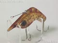 Craw Shrimp クローシュリンプ