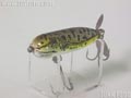 Baby Torpedo�@�x�r�[�g�[�s�[�h