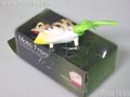 MOTO-Frog モトフロッグ