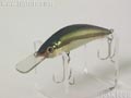 WB-6 シャッド