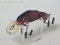 ザリーガニーSR