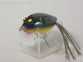 ソリッドフロッグ