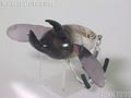 ヘラクレス ビートローラー