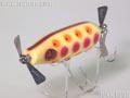 ショートノーズWS