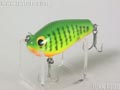 Shiner シャイナー小