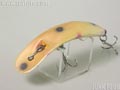 Flatfish M2 フラットフィッシュ