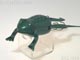 Halik Frog ハリックフロッグ大