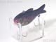 TRU-SHAD トゥルーシャッド中