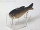 TRU-SHAD トゥルーシャッド大
