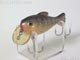 TRU-SHAD トゥルーシャッド トップウォーター