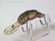 CRAWFISH クローフィッシュ ディープ
