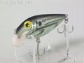 Silver-Shad@Vo[Vbh@teBO