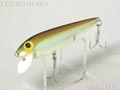 Shiner-Minnow シャイナーミノー大