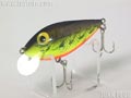 Silver-Shad@Vo[Vbh@teBO