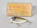 Silver-Shad@Vo[Vbh@teBO