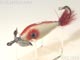 Walton Feather Tail ウォルトンフェザーテール