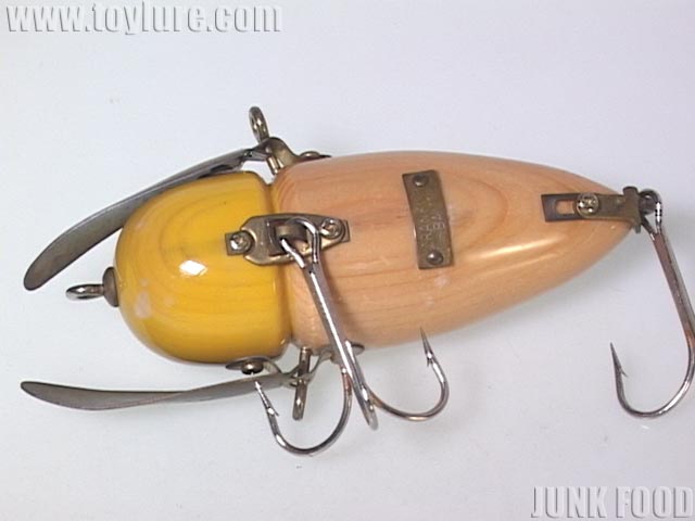 道楽　クマゼミ hq720.jpg?sqp=-